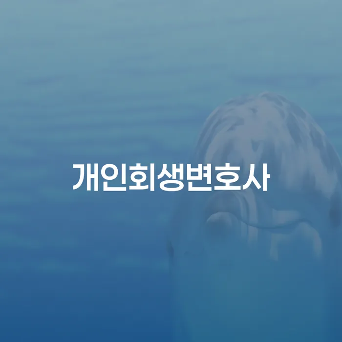 조원동 개인회생 변호사와 함께하는 성공적인 채무 해결