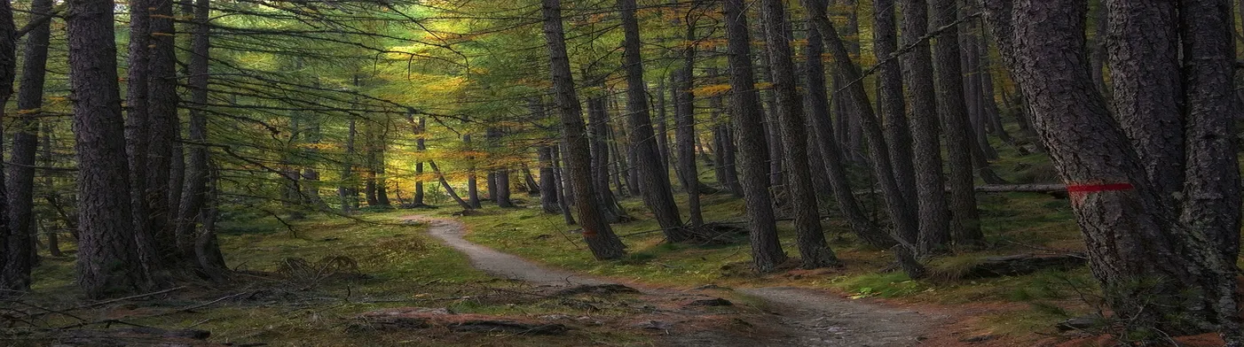 법무법인 서앤율